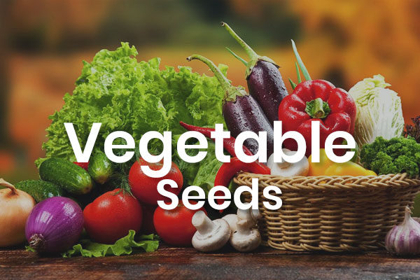 -Vegetable Seeds -