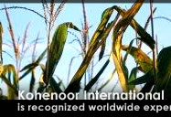 Kohenoor International