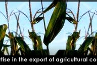 Kohenoor International