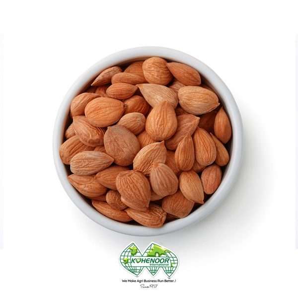 Dried Apricots