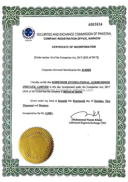 Company Incorporation Certificate