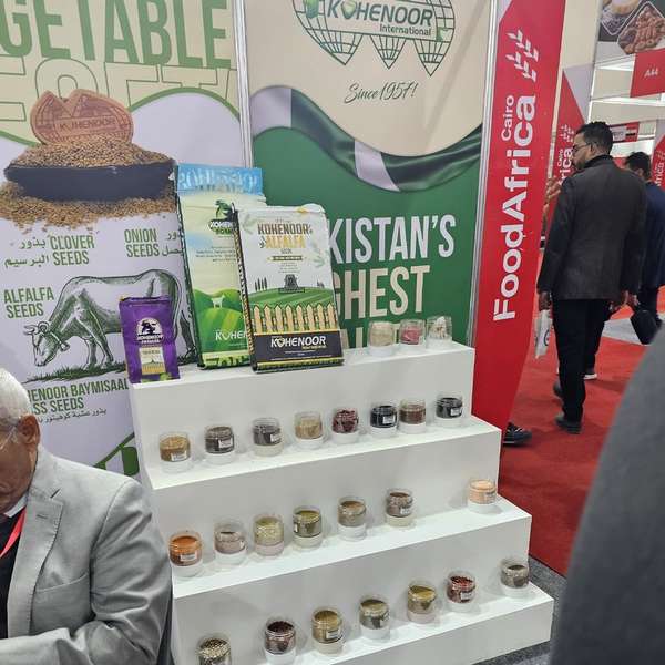Seed & Grain Exhibition Showcase