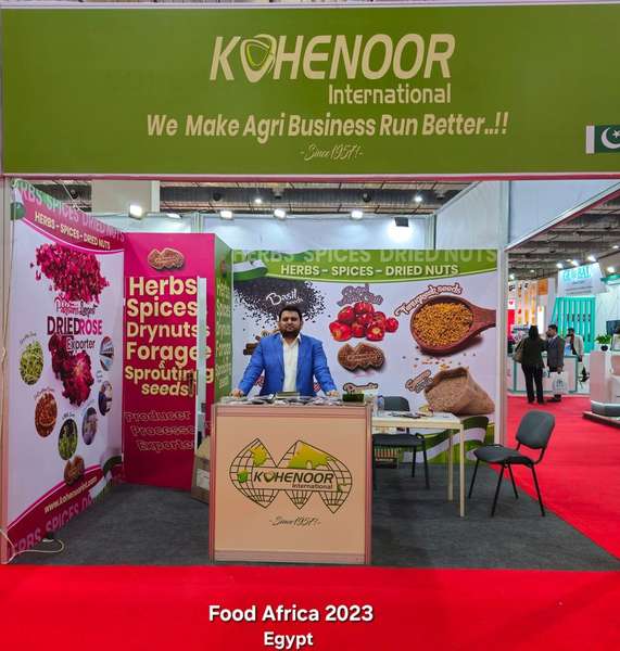 Kohenoor Product Line Display