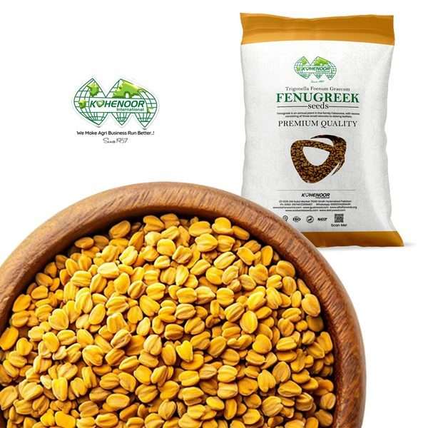Premium fenugreek seeds from Kohenoor International Pakistan for Germany and EU export