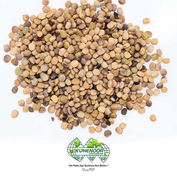 Guar Seeds