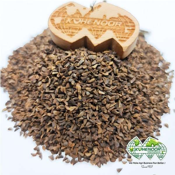 Harmel Seeds