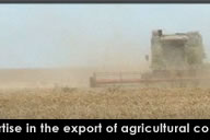 Kohenoor International