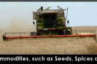 Kohenoor International