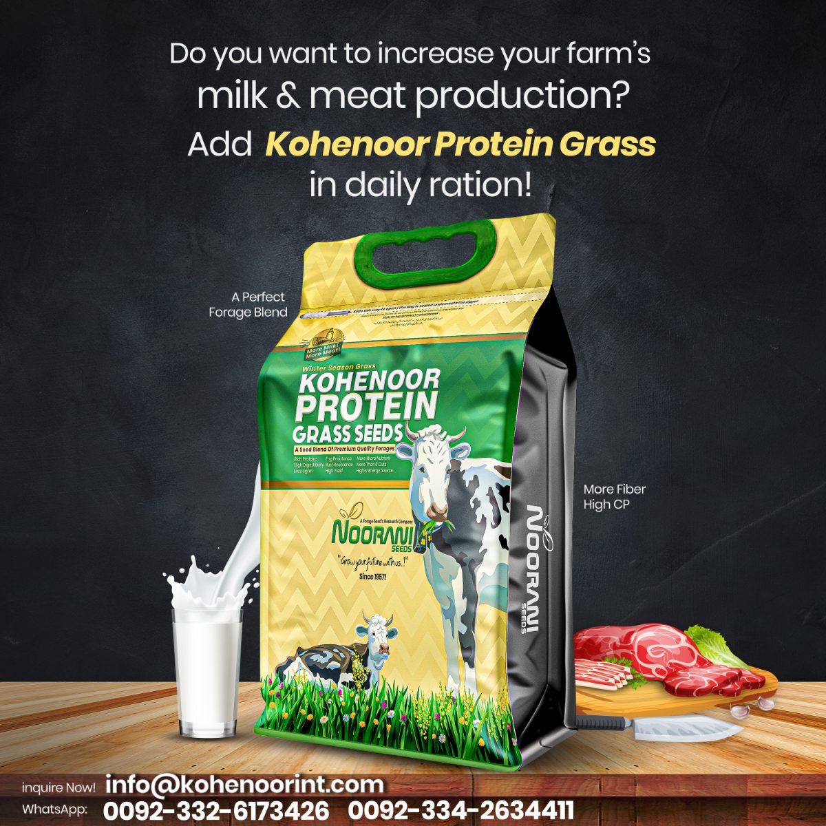 Kohenoor Protein Grass high-protein forage seed blend for Tanzanian dairy farms in Kilimanjaro, Arusha, Tanga and the Southern Highlands