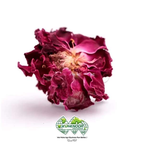 Rose Petals