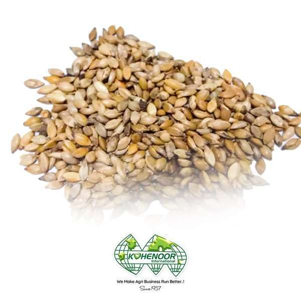 Velvet Grass Seeds